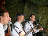 Amfolk-8